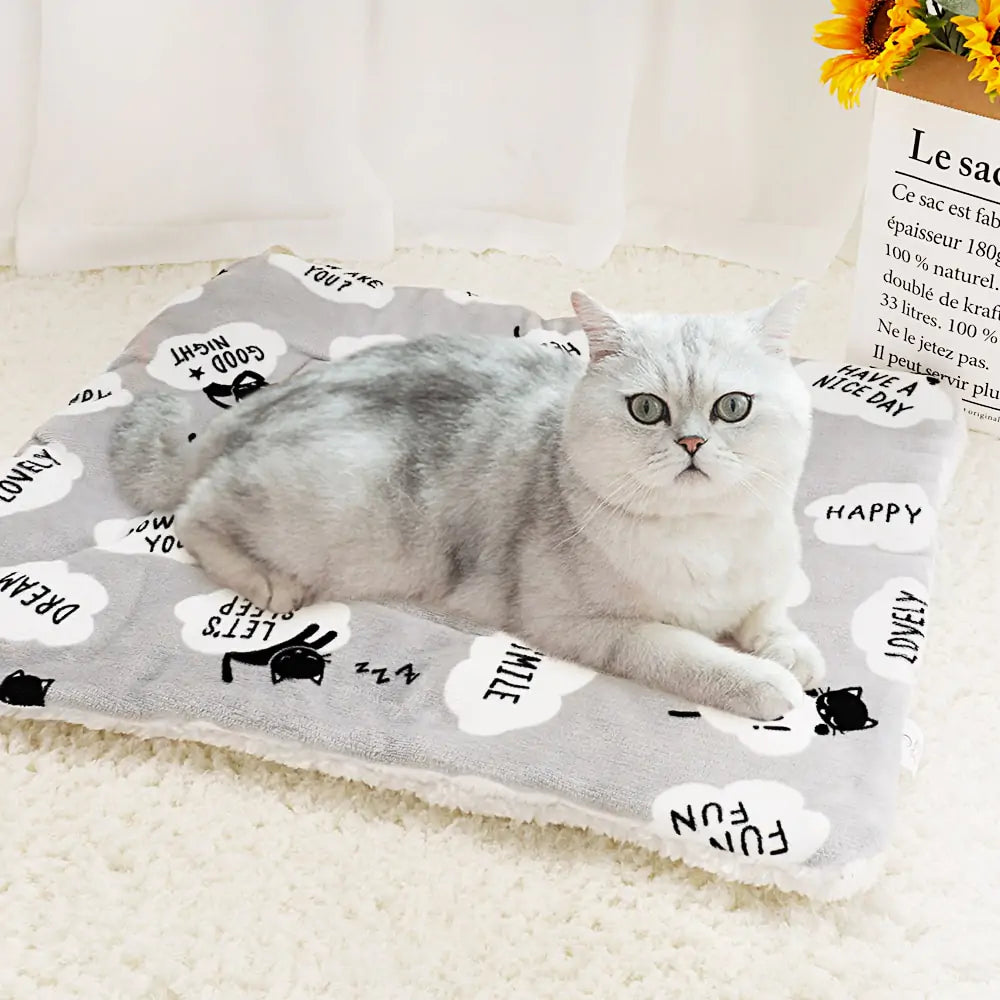 Soft Dog Cat Blanket